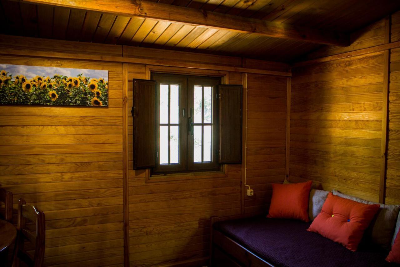 Xisto Camping Janeiro de Baixo Екстериор снимка