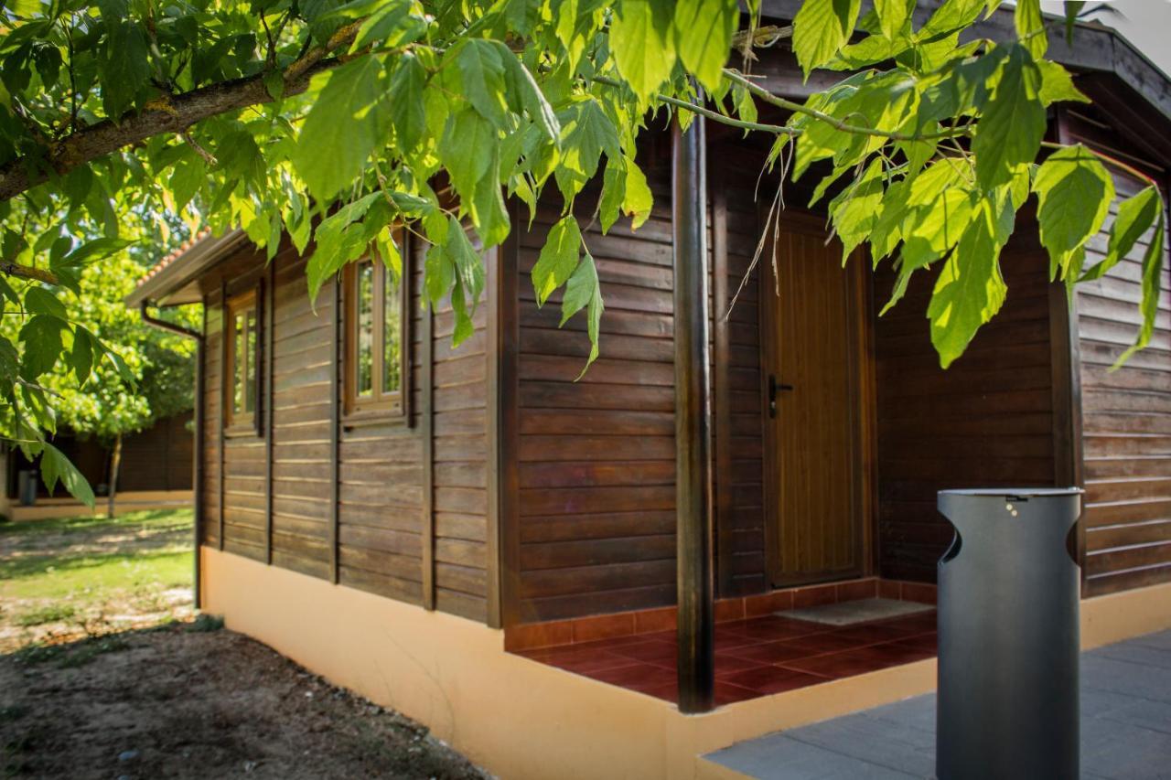 Xisto Camping Janeiro de Baixo Екстериор снимка