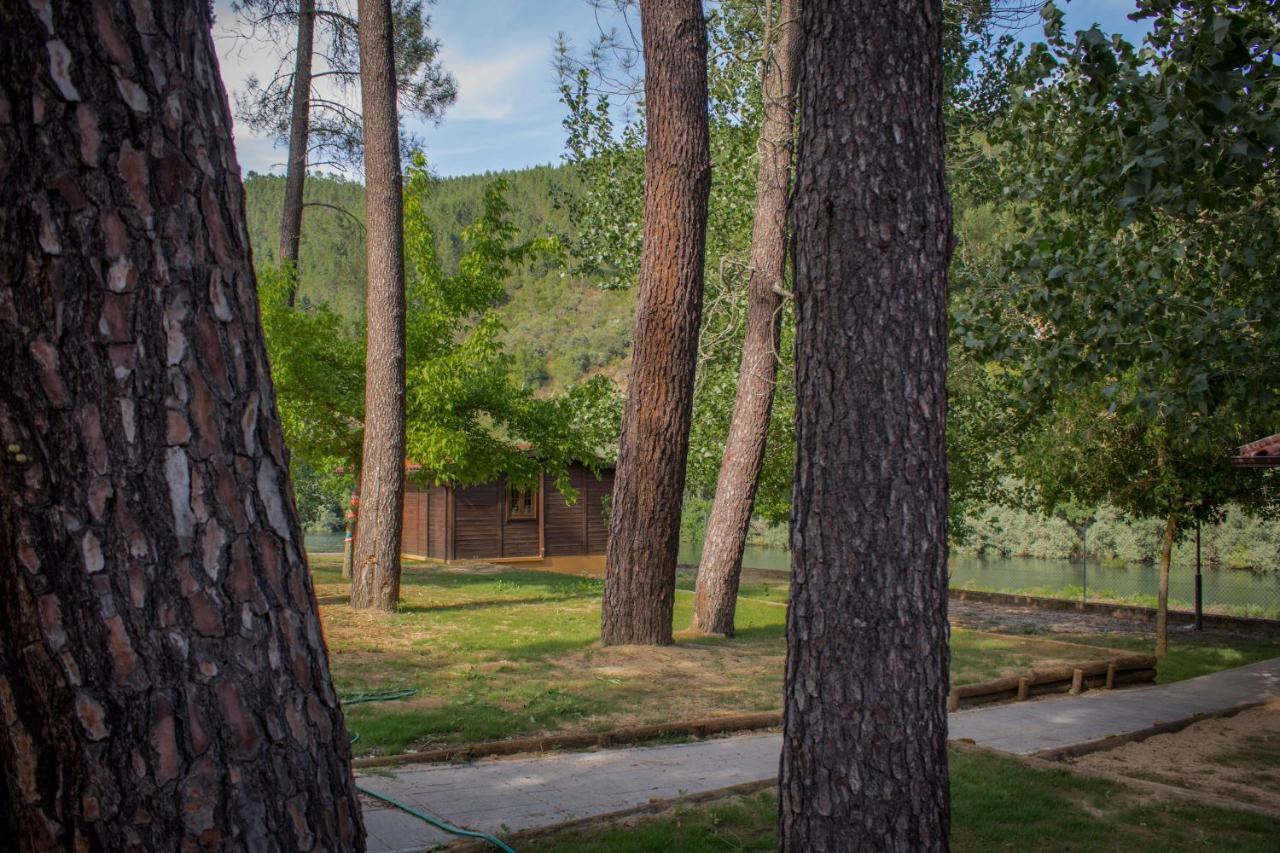Xisto Camping Janeiro de Baixo Екстериор снимка