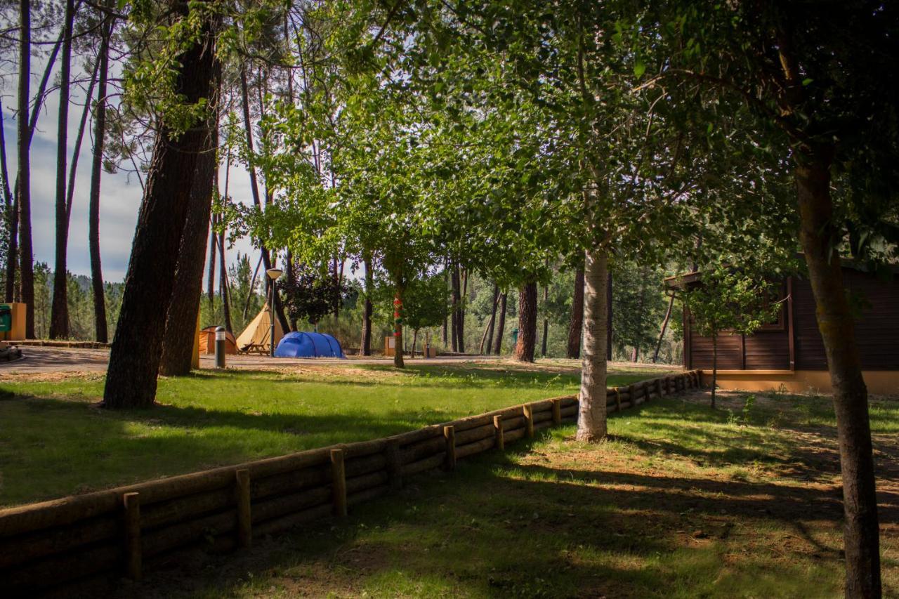 Xisto Camping Janeiro de Baixo Екстериор снимка