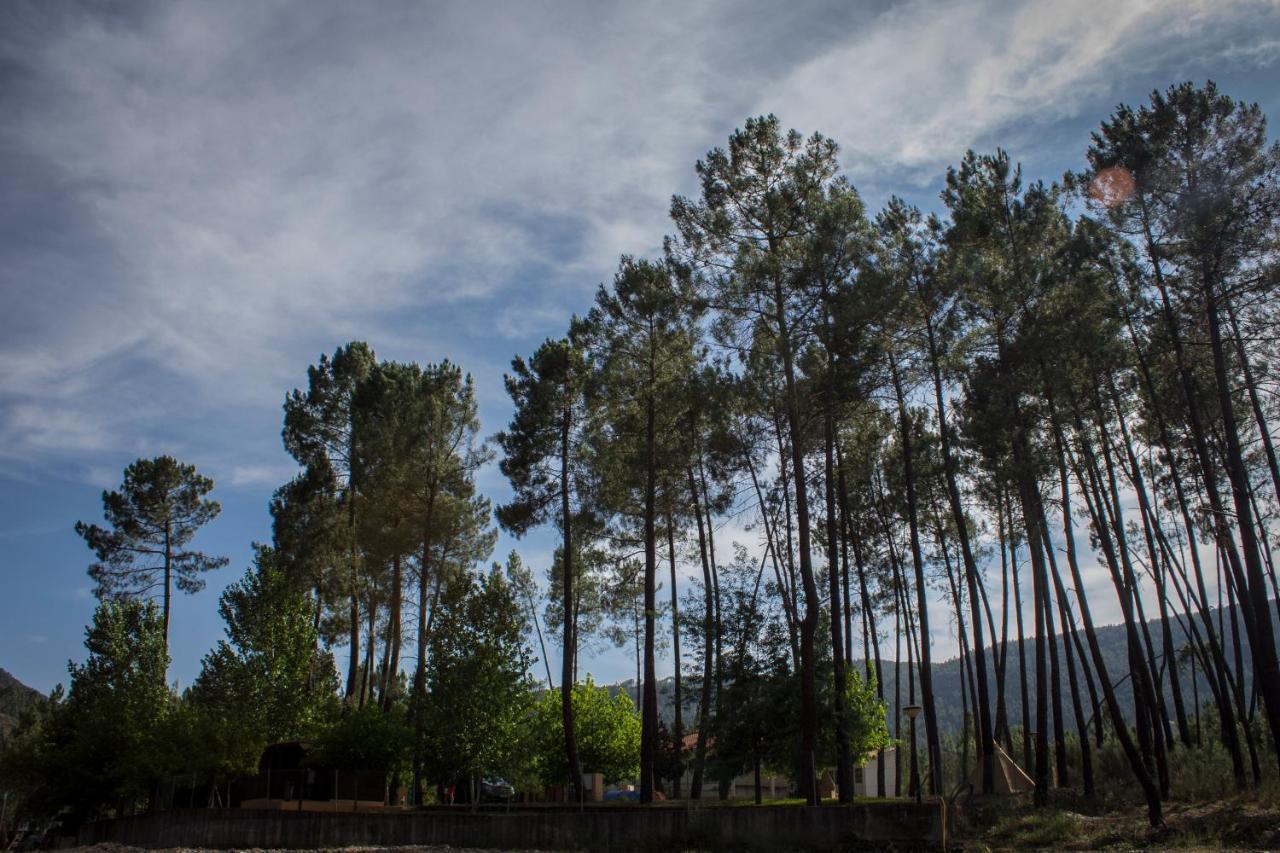 Xisto Camping Janeiro de Baixo Екстериор снимка